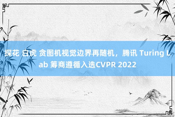 探花 白虎 贪图机视觉边界再随机，腾讯 Turing Lab 筹商遵循入选CVPR 2022