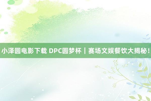 小泽圆电影下载 DPC圆梦杯｜赛场文娱餐饮大揭秘！